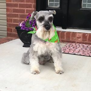 Meet your Posher, Chelsey